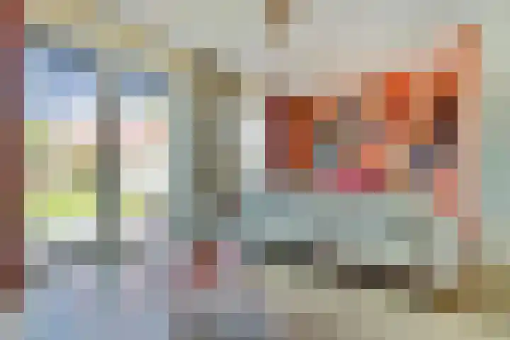 Borszeestraat 4 Borssele thumbnail 6