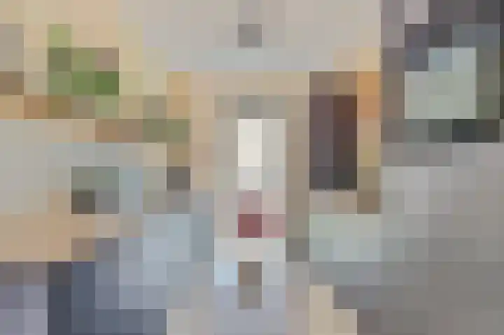 Borszeestraat 4 Borssele thumbnail 9