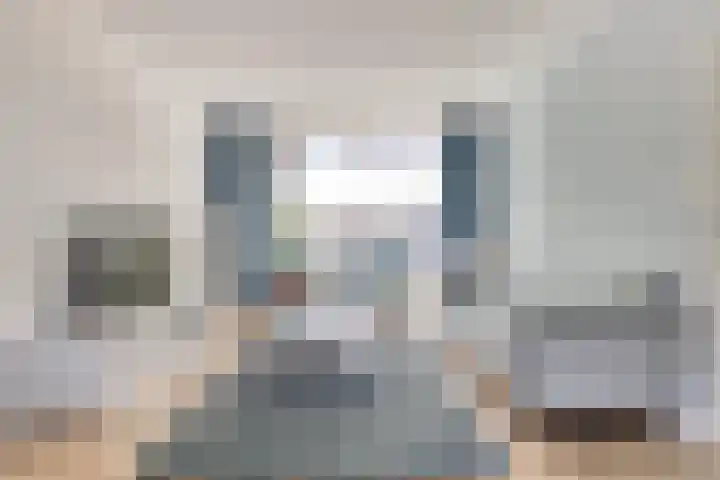 Borszeestraat 44 Borssele thumbnail 4