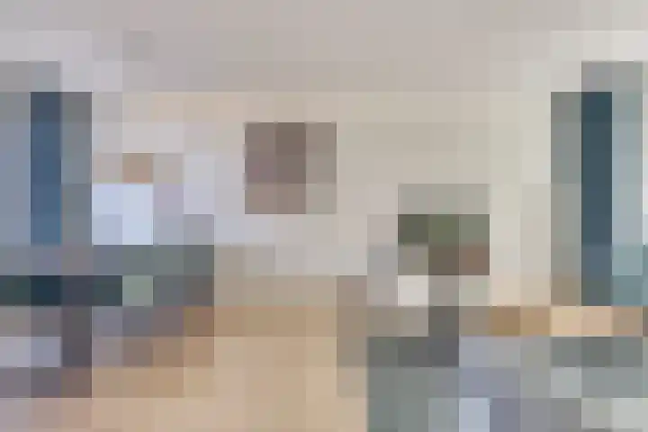 Borszeestraat 44 Borssele thumbnail 6