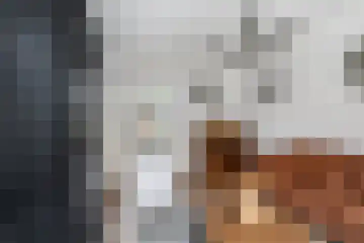 Bos 30 Stavenisse thumbnail 10