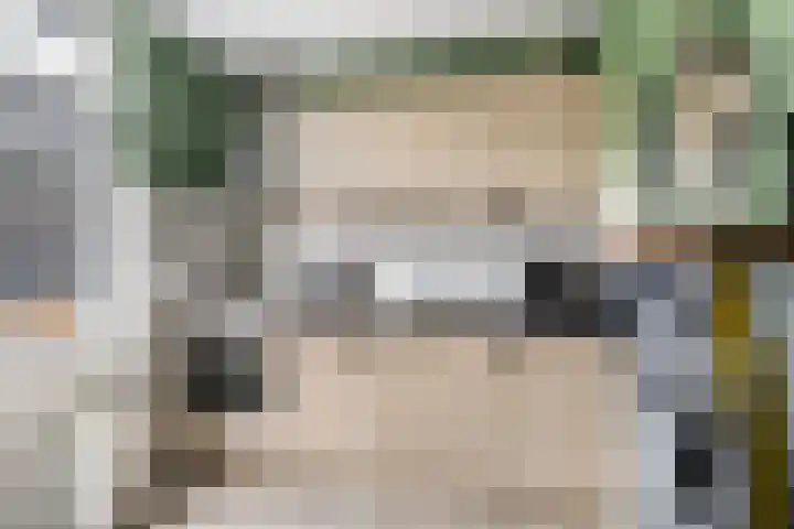 Bos 30 Stavenisse thumbnail 11