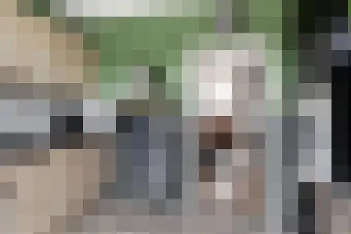 Bos 30 Stavenisse thumbnail 12