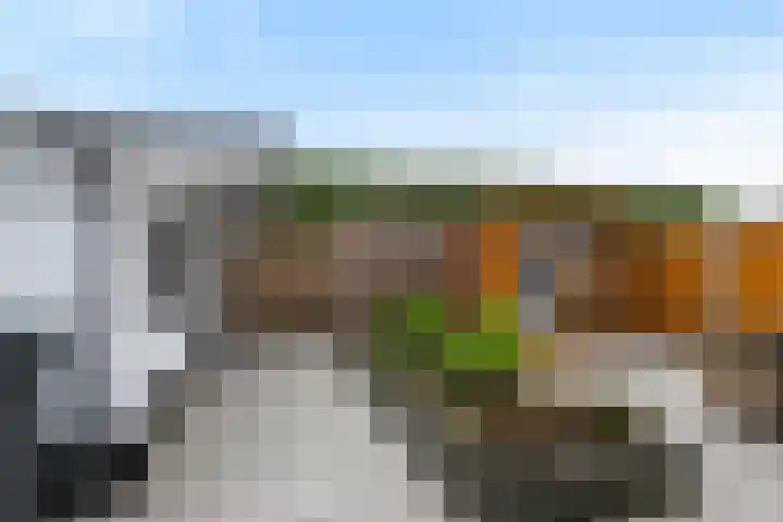 Bos 30 Stavenisse thumbnail 13