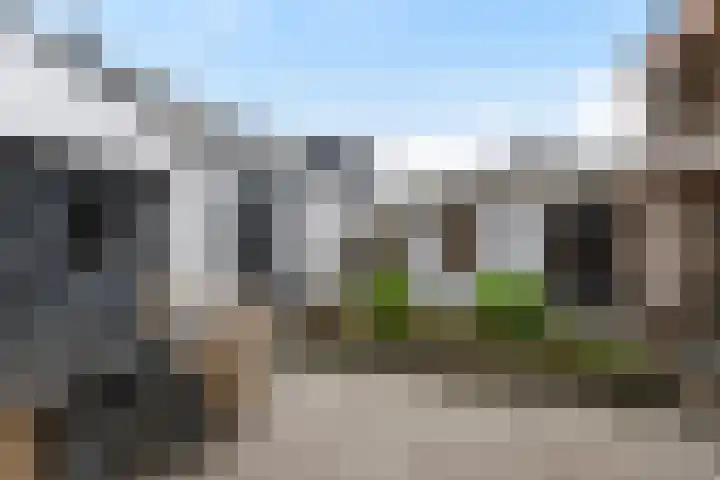 Bos 30 Stavenisse thumbnail 14