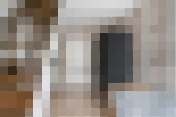 Bos 30 Stavenisse thumbnail 15
