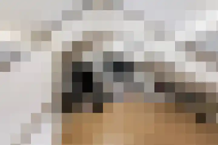 Bos 30 Stavenisse thumbnail 17