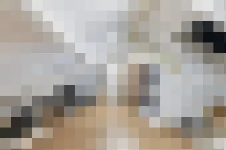 Bos 30 Stavenisse thumbnail 18
