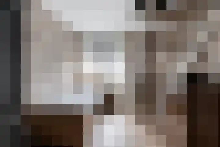 Bos 30 Stavenisse thumbnail 4