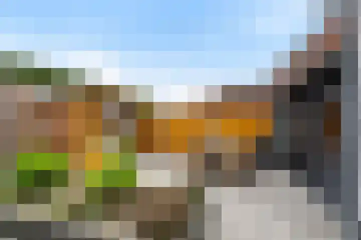 Bos 30 Stavenisse thumbnail 5