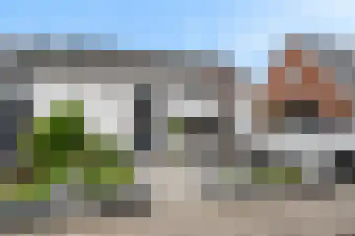 Bos 30 Stavenisse thumbnail 7