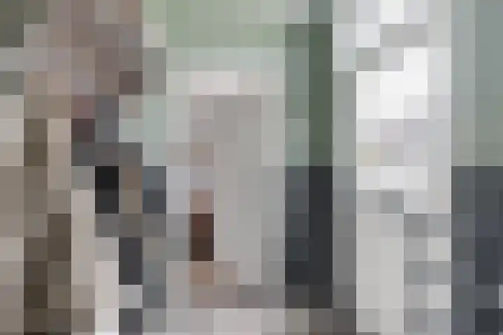 Bos 30 Stavenisse thumbnail 8
