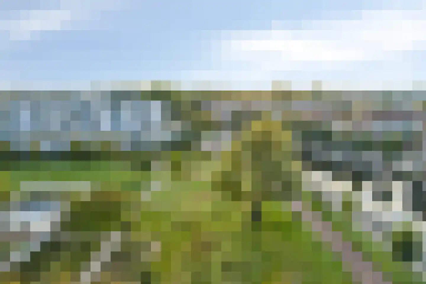 Bos en Lommerplantsoen 101 E Amsterdam thumbnail 22