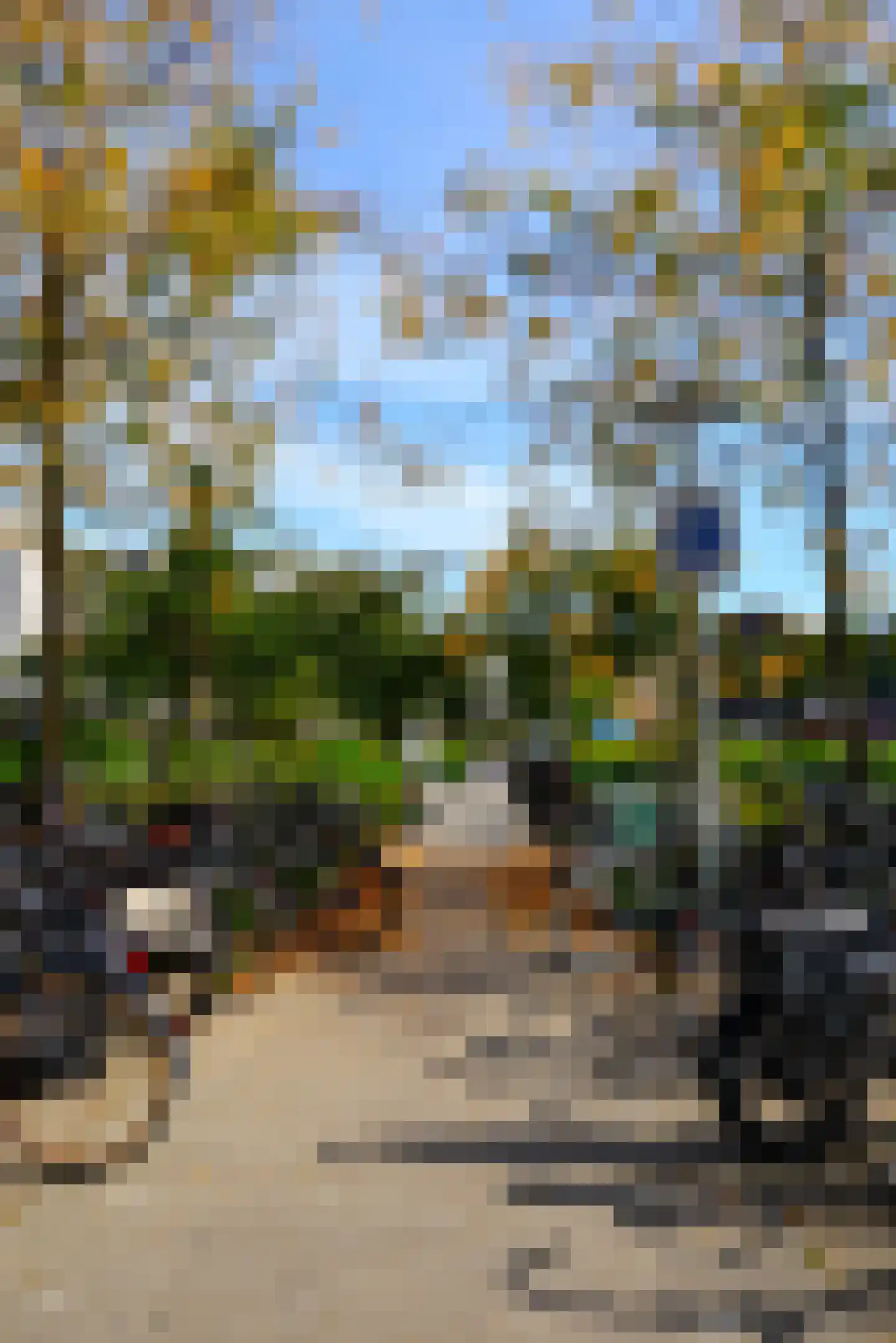 Bos en Lommerplantsoen 109 K Amsterdam thumbnail 35