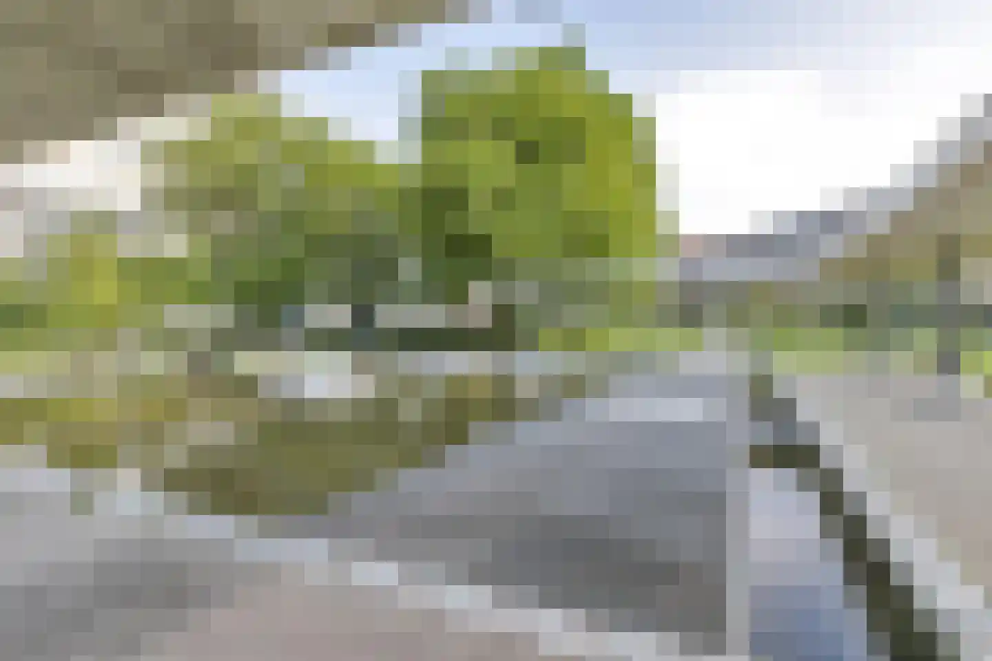 Bos en Lommerplantsoen 109 L Amsterdam thumbnail 21
