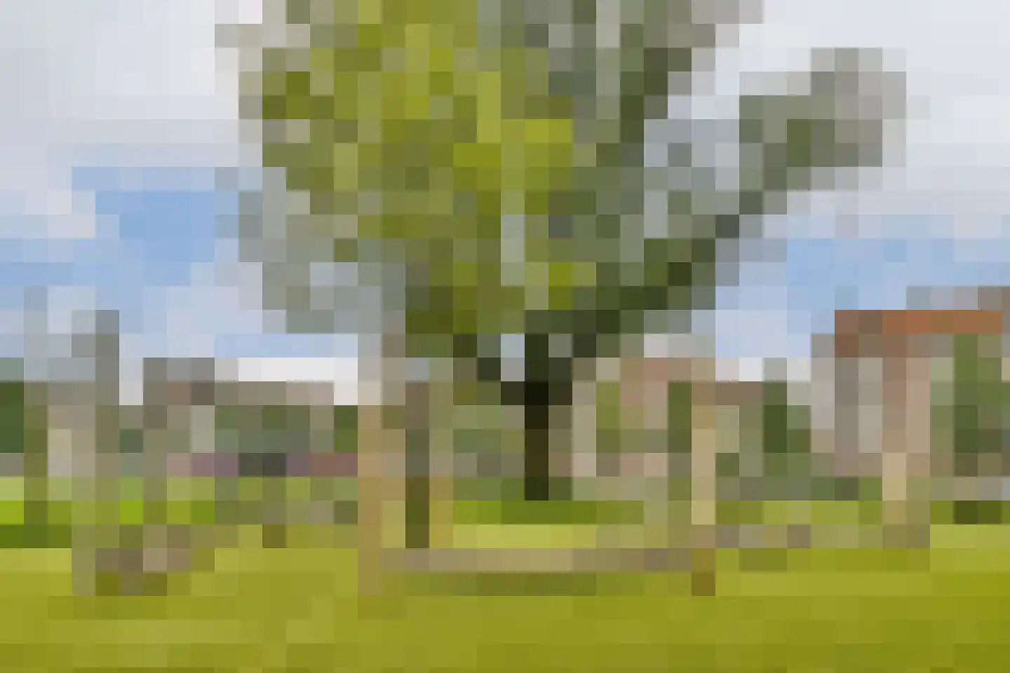 Bos en Lommerplantsoen 109 L Amsterdam thumbnail 25