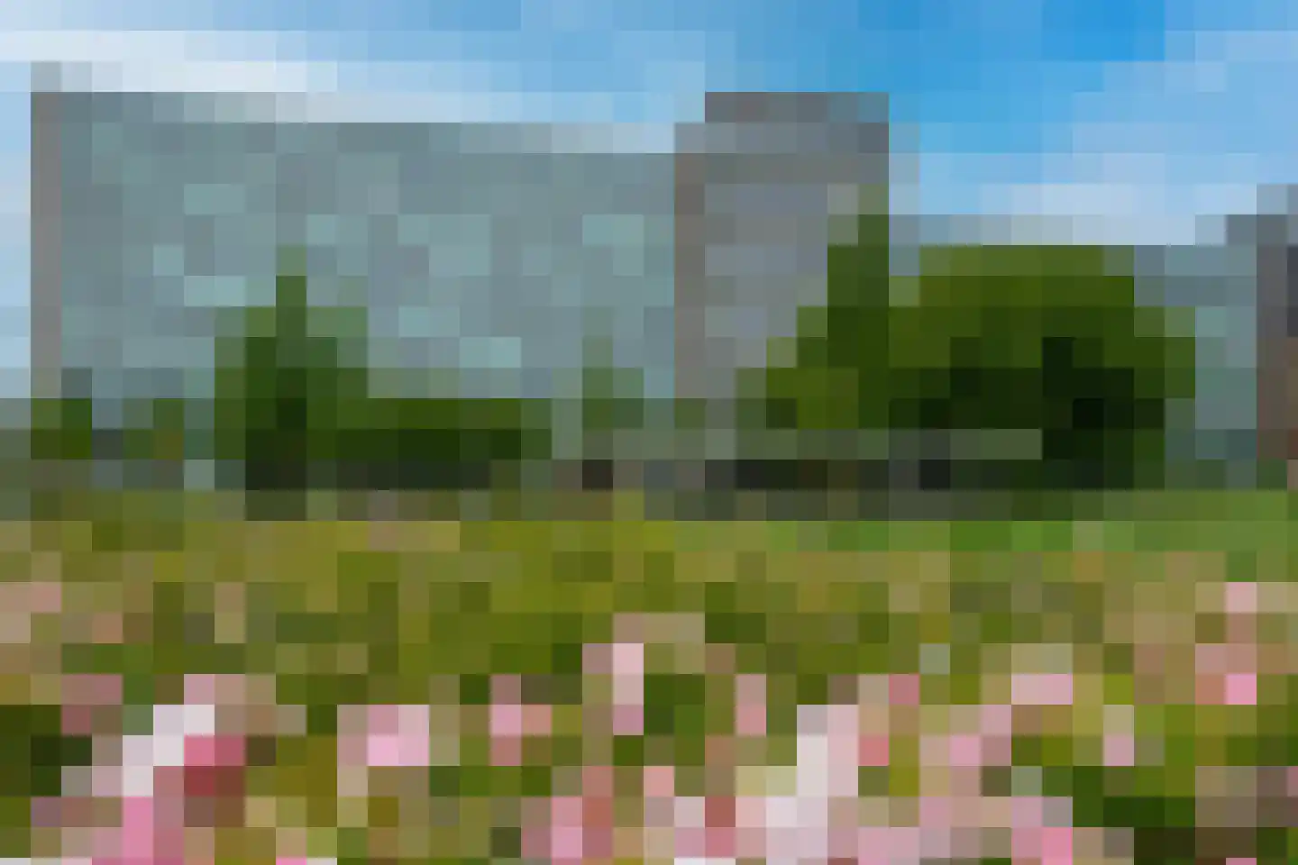 Bos en Lommerplantsoen 109 L Amsterdam thumbnail 26