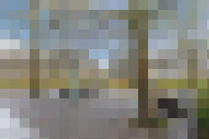 Bos en Lommerplantsoen 109 N Amsterdam thumbnail 21