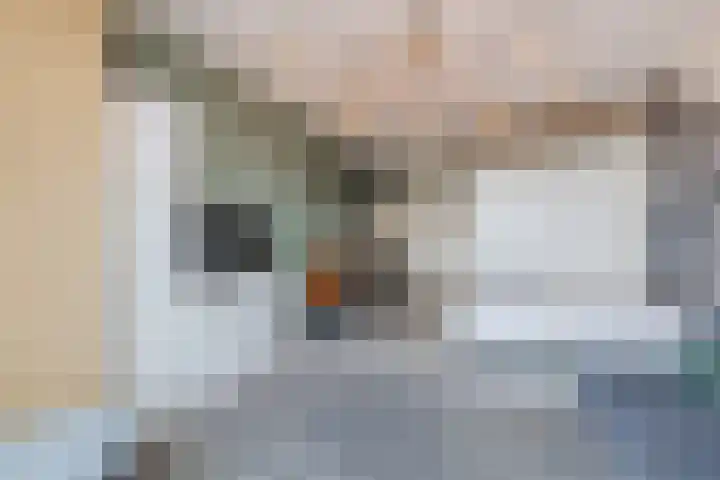 Bos en Lommerplantsoen 109 N Amsterdam thumbnail 9