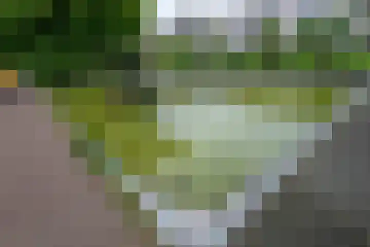 Bos en Lommerplantsoen 11 D Amsterdam thumbnail 32