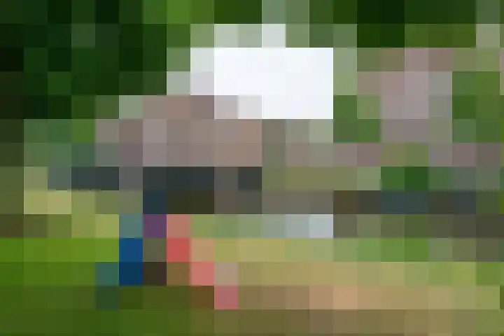 Bos en Lommerplantsoen 11 D Amsterdam thumbnail 33