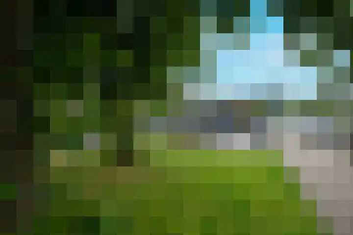 Bos en Lommerplantsoen 11 D Amsterdam thumbnail 37