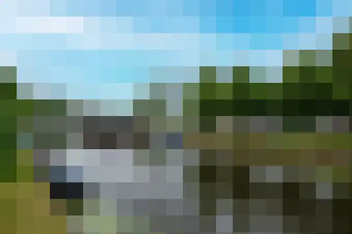 Bos en Lommerplantsoen 11 D Amsterdam thumbnail 5