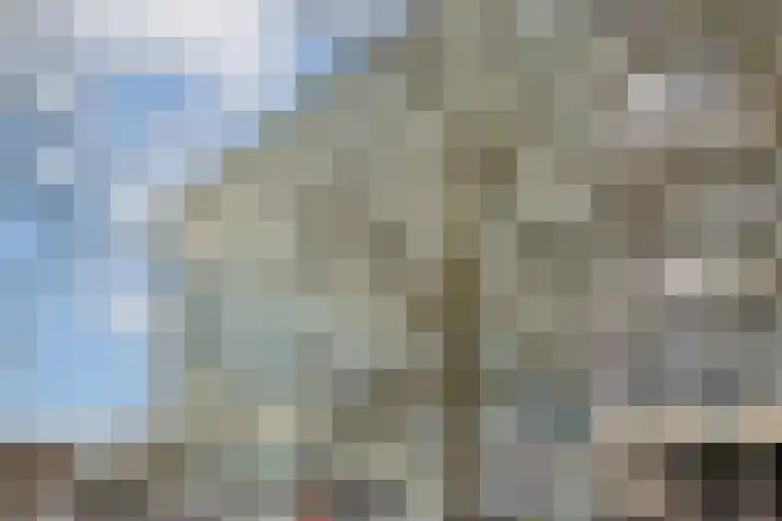 Bos en Lommerplantsoen 111 C Amsterdam thumbnail 20