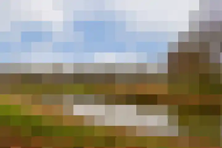 Bos en Lommerplantsoen 111 C Amsterdam thumbnail 22