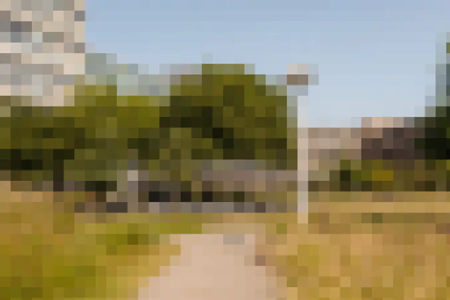 Bos en Lommerplantsoen 13 B Amsterdam thumbnail 26