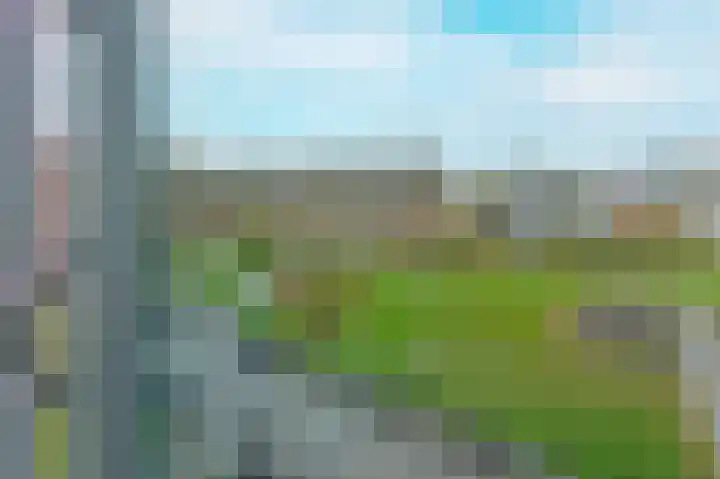 Bos en Lommerplantsoen 15 D Amsterdam thumbnail 8