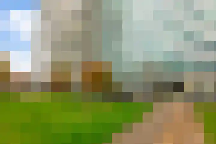 Bos en Lommerplantsoen 17 K Amsterdam thumbnail 23