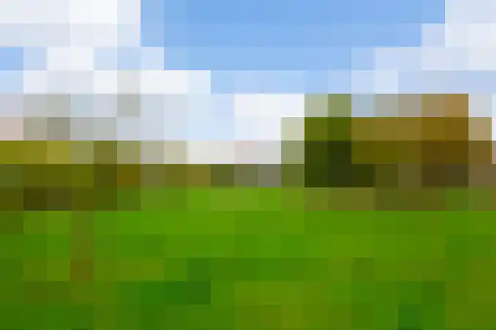 Bos en Lommerplantsoen 17 K Amsterdam thumbnail 24