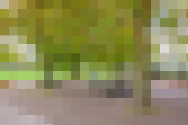 Bos en Lommerplantsoen 17 K Amsterdam thumbnail 25