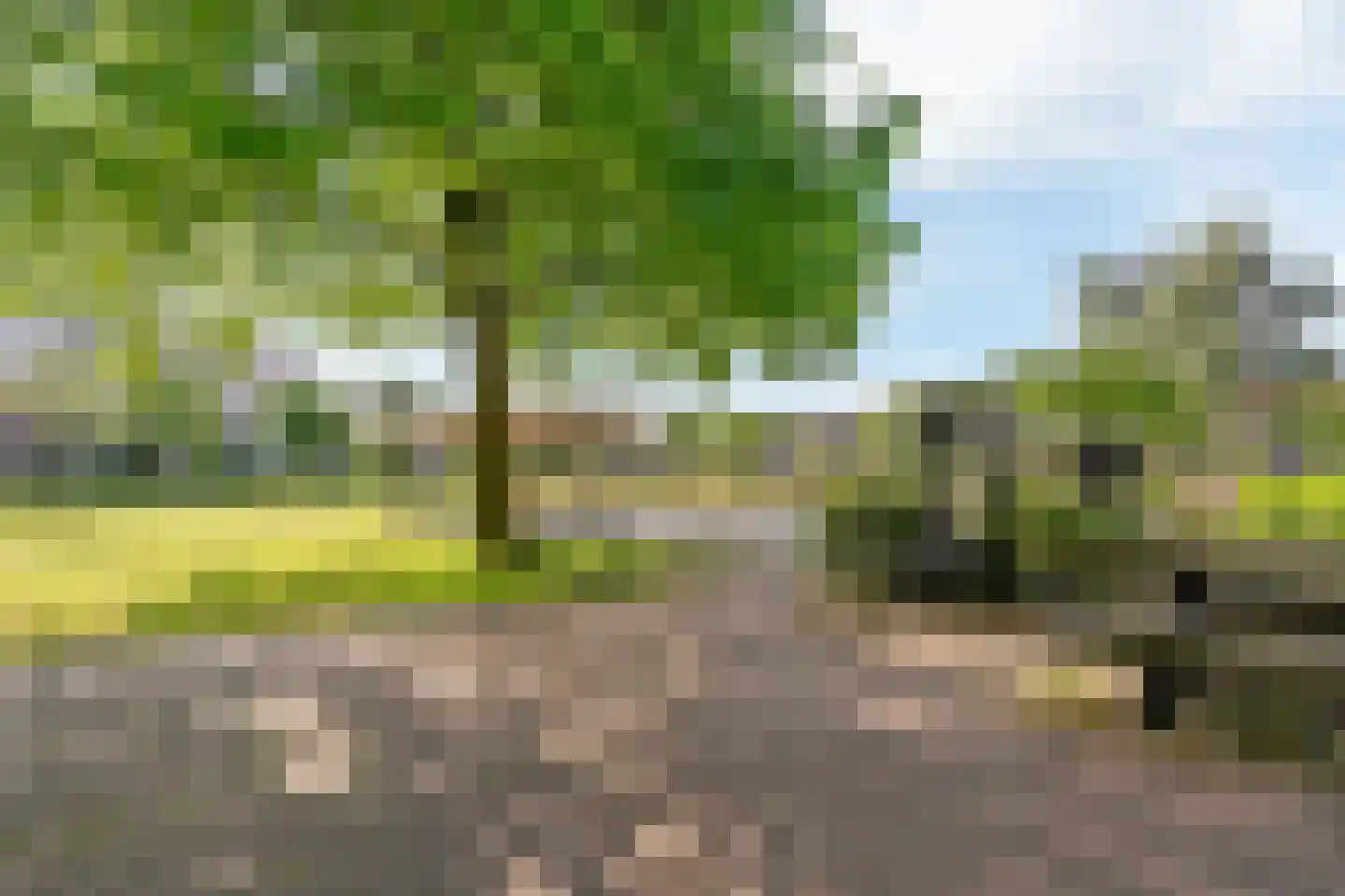 Bos en Lommerplantsoen 19 C Amsterdam thumbnail 21