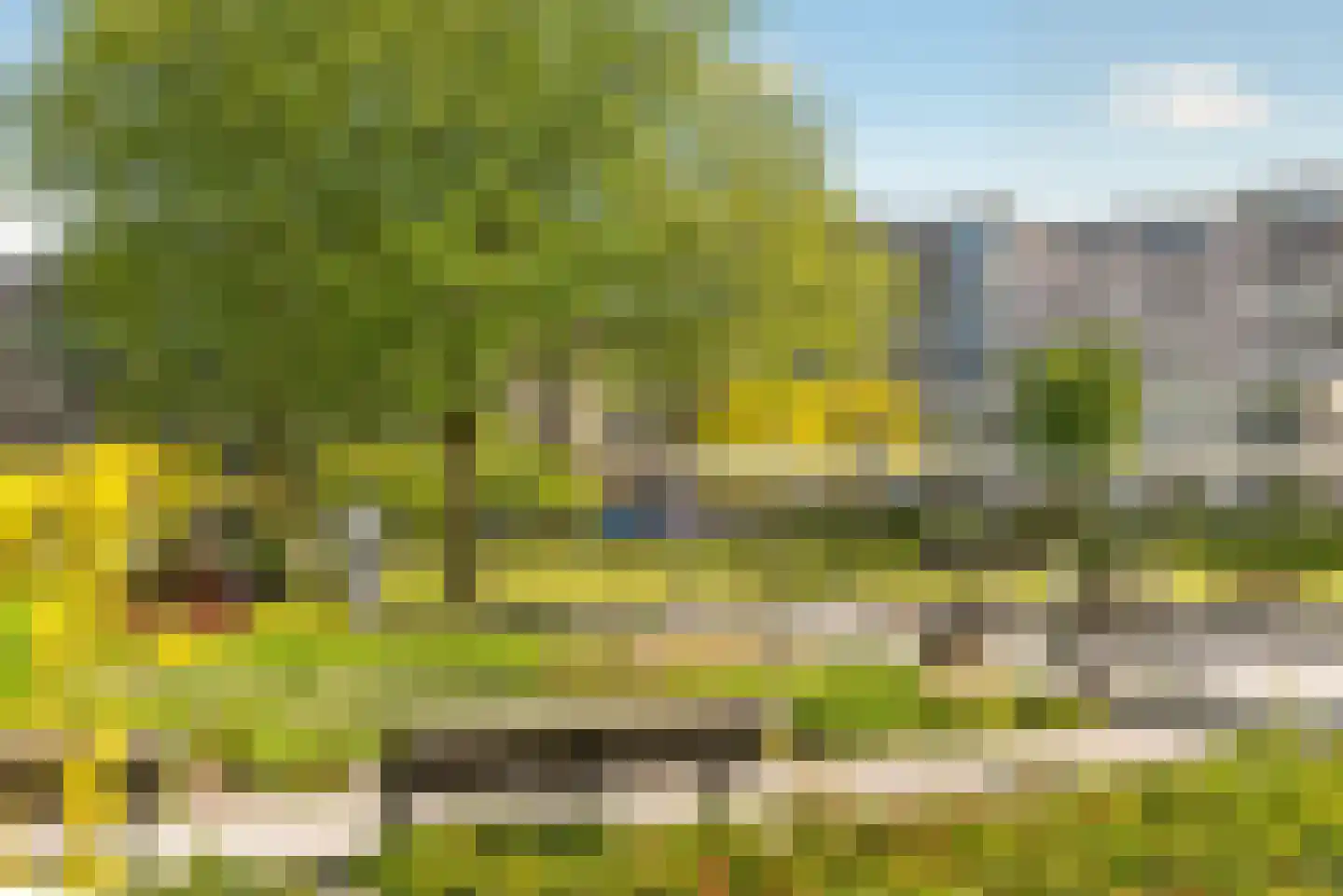 Bos en Lommerplantsoen 29 E Amsterdam thumbnail 28