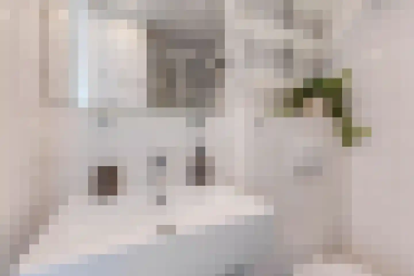 Bos en Lommerplantsoen 33 C Amsterdam thumbnail 19