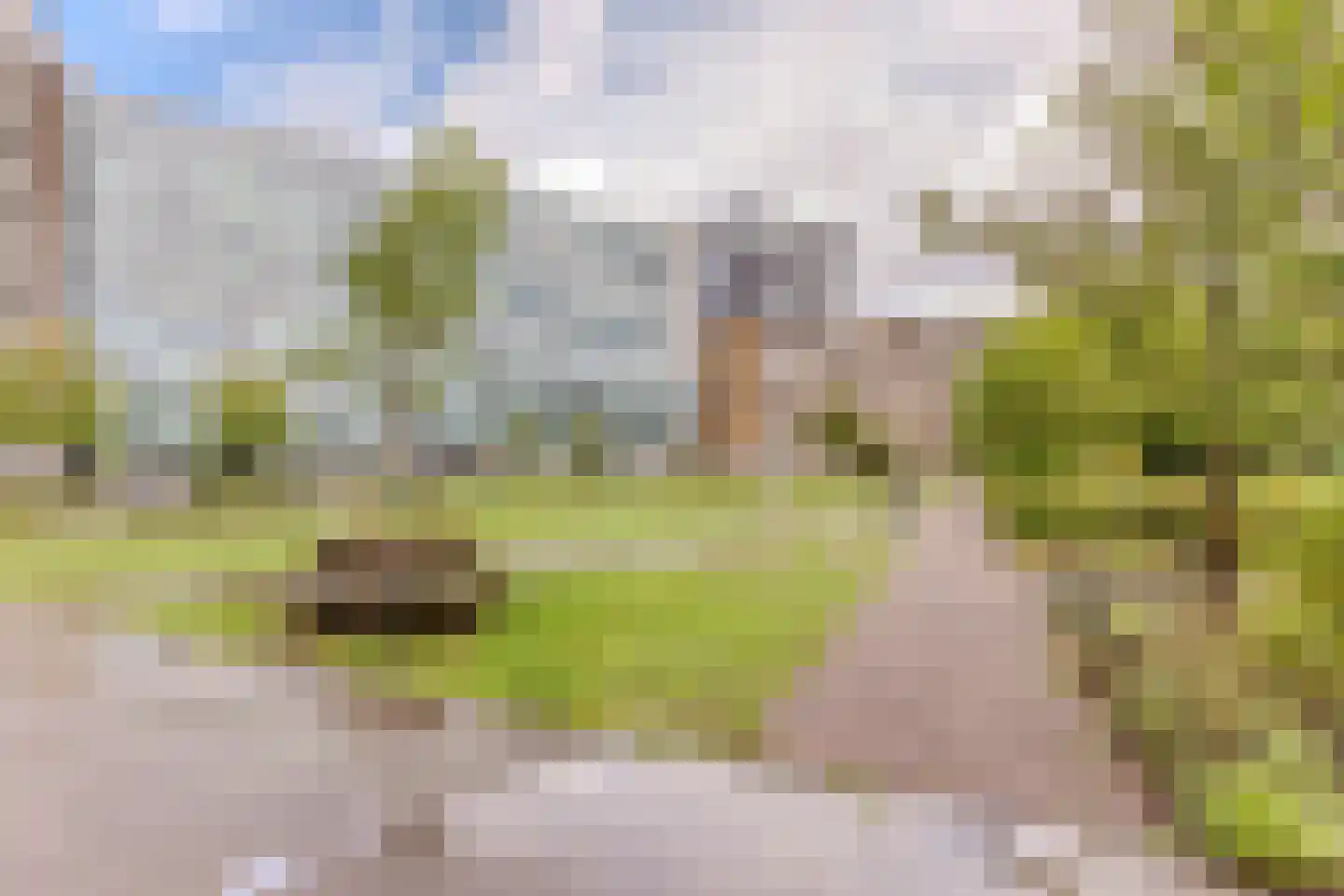 Bos en Lommerplantsoen 33 C Amsterdam thumbnail 27