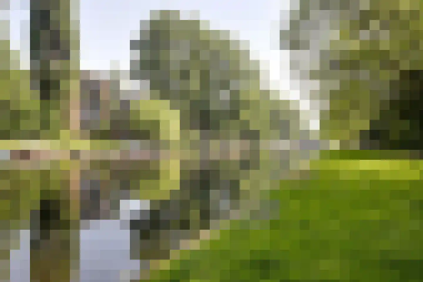 Bos en Lommerplantsoen 33 C Amsterdam thumbnail 35