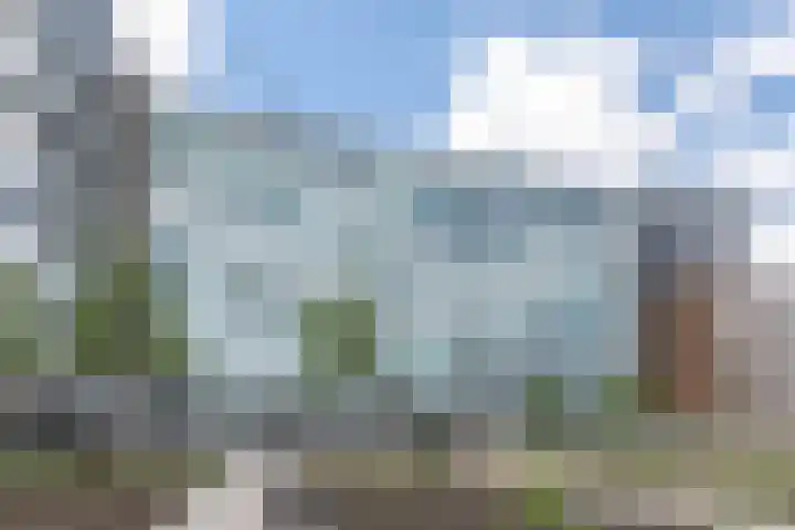 Bos en Lommerplantsoen 33 E Amsterdam thumbnail 14