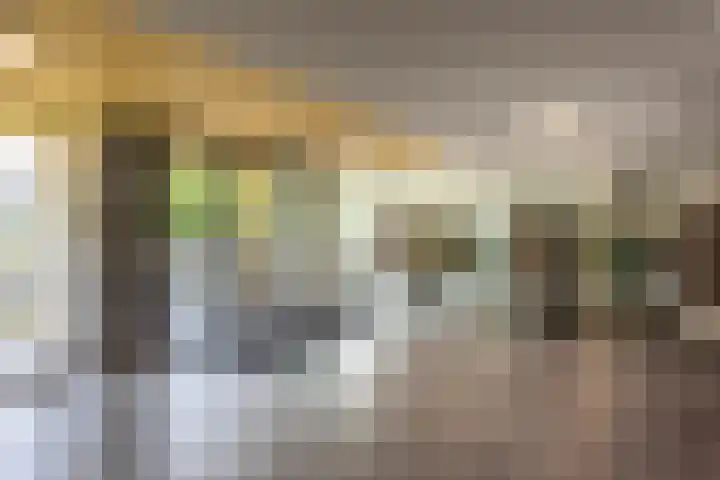 Bos en Lommerplantsoen 33 E Amsterdam thumbnail 18