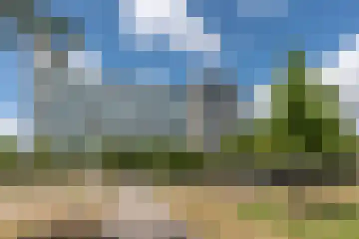 Bos en Lommerplantsoen 33 E Amsterdam thumbnail 19