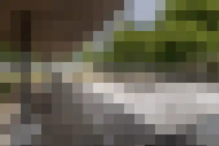 Bos en Lommerplantsoen 33 E Amsterdam thumbnail 21