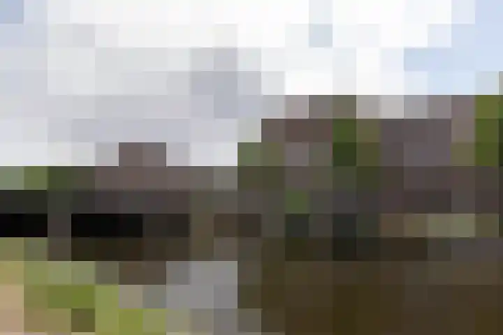Bos en Lommerplantsoen 33 E Amsterdam thumbnail 22