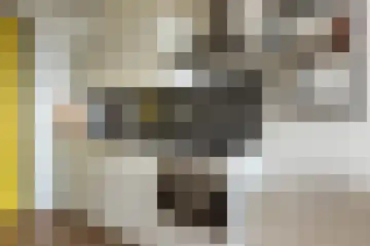 Bos en Lommerplantsoen 33 E Amsterdam thumbnail 6