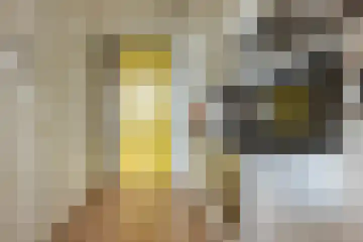 Bos en Lommerplantsoen 33 E Amsterdam thumbnail 7