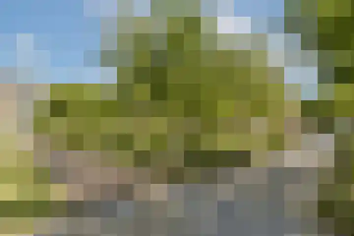 Bos en Lommerplantsoen 35 B Amsterdam thumbnail 21