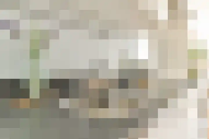 Bos en Lommerplantsoen 35 B Amsterdam thumbnail 5