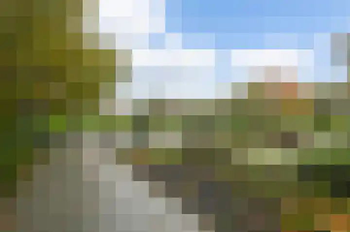 Bos en Lommerplantsoen 35 H Amsterdam thumbnail 22
