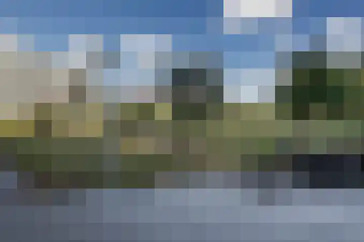 Bos en Lommerplantsoen 37 E Amsterdam thumbnail 18